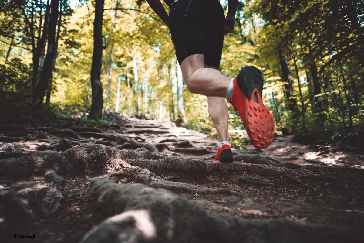 Farm Diversification Idea: Host a Trail Running Club on Your Land